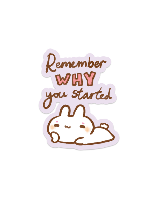Remember Why You Started! - Die Cut Stickers!
